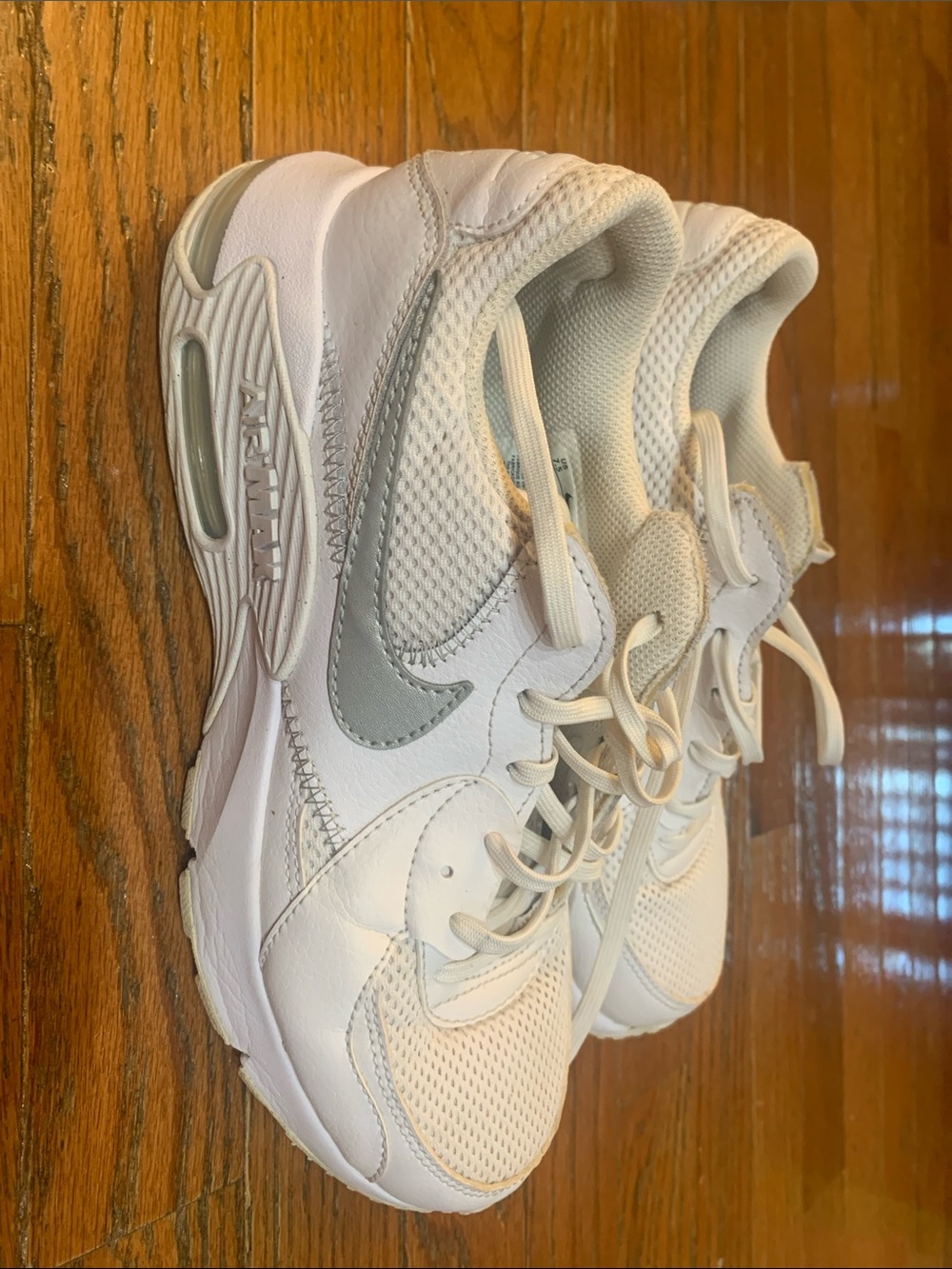 Nike Women’s White and Silver Running Sneakers